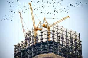 Construction cranes atop a partially finished building with birds flocking in the air